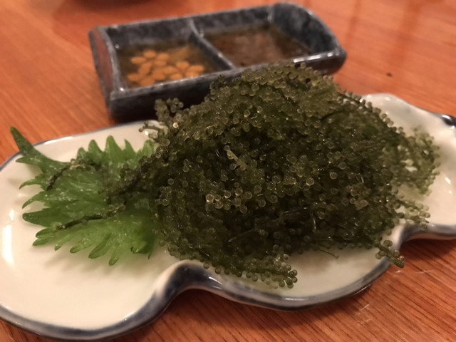 酒菜屋梅宮 - 白河（居酒屋）の写真