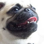 Saigon River Boutique Hotel - 