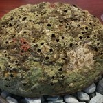 日本料理 TOBIUME - ③黒鮑(福岡県柏原産)、そうめん&無農薬の赤茄子の田舎煮、肝&ポン酢のソース掛け
      黒鮑の殻を重ねて登場。
      個人的には無くても良いけどね。(^_^;)