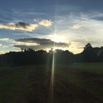 ヴィラデスト ガーデンファーム アンド ワイナリー - 夕焼け