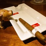 ウイスキーキャット - 