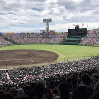 廣東料理 民生 ヒルトンプラザウエスト店 - 8/14