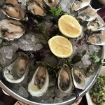 db bistro & oyster bar - 