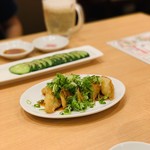 餃子食堂マルケン - 揚げ餃子(ねぎ)