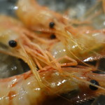 居酒屋　純ちゃん - 