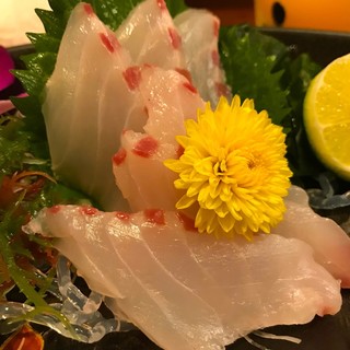 口コミ一覧 むつ五郎 むつごろう 熊本城前 馬肉料理 食べログ 口コミ一覧 むつ五郎 むつごろう 熊本城前 馬肉料理 食べログ