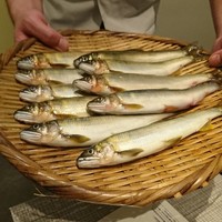 日本料理 太月 - 鮎〜ϵ( 'Θ' )϶動いてないの逆に珍しいけど、こっちのが安心する笑