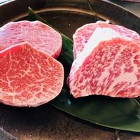 ウィンザー アウト オブ アフリカ - 