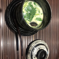 うなぎ料理 澤正 - 