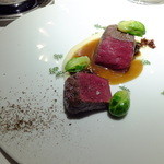 レフェルヴェソンス - ダンナのメイン　北海道白糠町の鹿