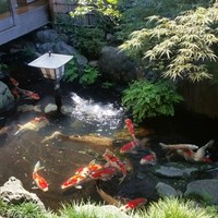 そば会席 立会川 吉田家 - 