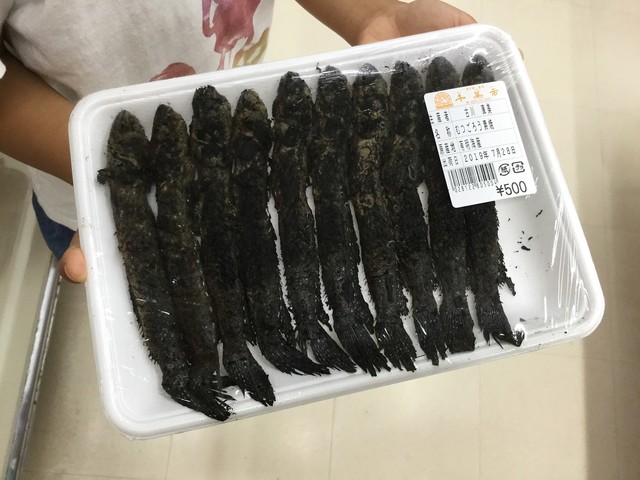 道の駅 鹿島 肥前七浦 その他 食べログ 道の駅 鹿島 肥前七浦 その他 食べログ