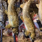 揖斐川丘苑 - ほどよく振られたお塩が美味しそう。