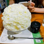 銀座のジンジャー - カマンベールチーズ