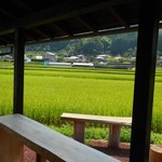 Kurodama Terasu - 田園風景