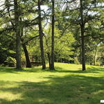 Sukiyaki Shabushabu Teppanyaki Sofu - 窓から