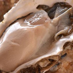 ほたる 国分町店