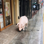 Kiiton - ☆店頭の豚さん