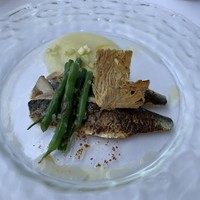 レストラン ラ・マーレ - 【2019.7.28】オードブルの鯵の炙り。