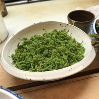 割烹 やました - 
