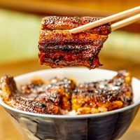 田代 尾張瀬戸 うなぎ 食べログ 田代 尾張瀬戸 うなぎ 食べログ
