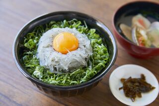 新島水産 - 生しらす丼