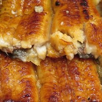 うなぎ割烹 白金台 まつ本 - 厚み