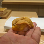 鮨 なんば - 雲丹