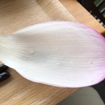 カフェアンドショップ ロータスランド - 2019/08/16
      モーニングＣセット 有機コーヒー 380円
      今週のおまかせセット 550円
      ・こんにゃく唐揚げの甘酢あん
      ・卵豆腐
      ・味噌きゅうり
      ・フレッシュサラダ
      ・スイカ