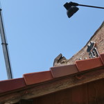 中華そば 紅蘭 - 