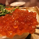Shikisai - いくらこぼし丼