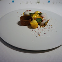 ジョンティ アッシュ - 