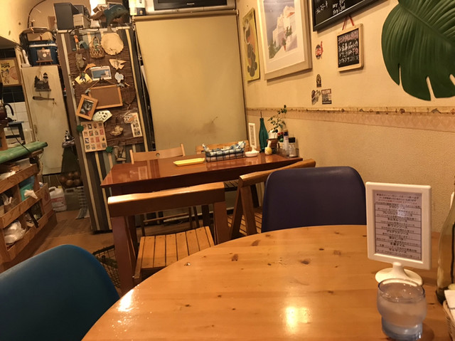 Cook Dolphin photo 5