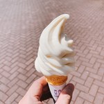 Ogurogawa Pa-Kingu Eria Nobori Sen Fu-Do Ko-To - 安曇野りんごソフトクリーム