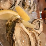 オストレア oysterbar&restaurant  - 