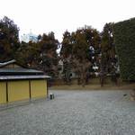 招福樓 - これは店内です（笑　高さのある木が植えてあるので外界と遮断