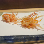 にい留 - 海老頭