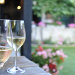 Stockinggerhof Wachau Austria - 