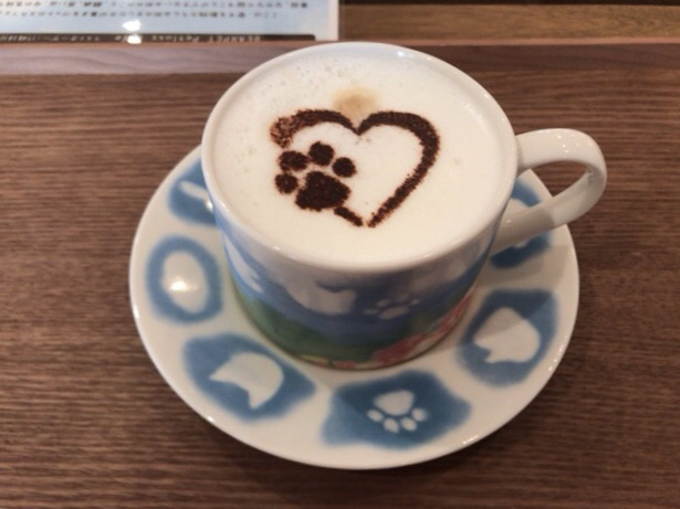 ペットロスカフェ ディアペット東京本店 Petloss Cafe 明治神宮前 カフェ 喫茶 その他 食べログ ペットロスカフェ ディアペット東京本店 Petloss Cafe 明治神宮前 カフェ 喫茶 その他 食べログ