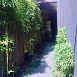 神山 - 笹竹の緑が鮮やかで涼しげ♪
