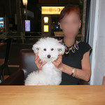 AU GAMIN DE TOKIO table - 生後３ヶ月と３週間