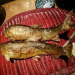 豆寅 - 