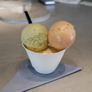 アサコ イワヤナギ プリュス_1