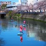 弘明寺下町食堂 町っ子 - 