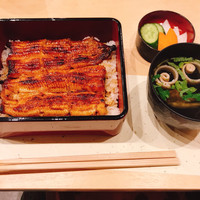 うなぎ割烹 白金台 まつ本 - 