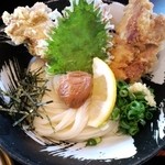 手打ちうどん 団平 - 鶏天梅ぶっかけうどん（冷）