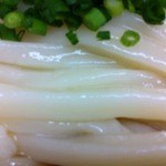 釜たけうどん - 2012年1月22日、11時訪問　基本のぶっかけうどん550円(^_^)v