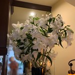 Patisserie Chez KOBE - 暑くて(^_^;)カサブランカ元気なし(〃´o｀)ﾌｩ…