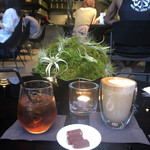 Nicolai Bergmann NOMU - 