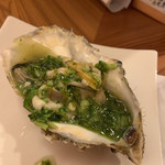 夜鮨 - 牡蠣　オクラとブロッコリーソースで ガーリック風味はなく、あっさりとしたソース。 牡蠣は軽く火入れしてありました。